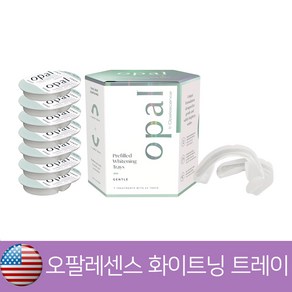 오팔레센스 치아미백 화이트닝 젠틀 트레이 7팩 14트레이 opalescence whitning 7pk, 7개