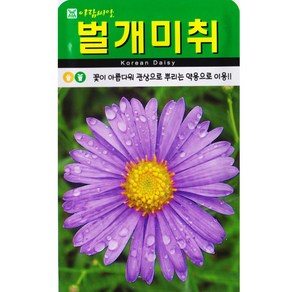 벌개미취씨앗 500립 약용 여러해살이 꽃씨, 1개