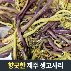 [향긋한] 제주 생고사리 국산고사리 햇고사리 자연산고사리 국내산고사리 고사리볶음 삶은고사리, 1개, 1kg