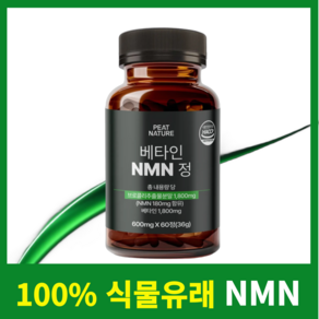 피트네이처 식물성 NMN 영양제 엔앰엔 식약청인증 HACCP, 1개, 60정