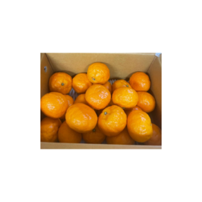 귤 감귤 고당도 프리미엄 특품, 1개, 카라향특별엄선  2.8kg 로얄과