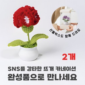 [상상한스푼 카네이션] 완성품 핸드메이드 손뜨개 뜨개질 카네이션, 레드 그라데이션, 2개
