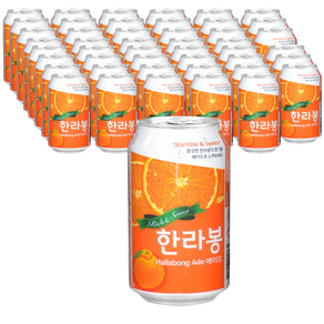 한라봉 일화 에이드, 350ml, 48개