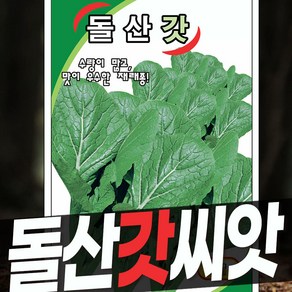 갓 씨앗 모음 30g, 돌산갓씨앗 재래종 돌산갓 30g, 1개