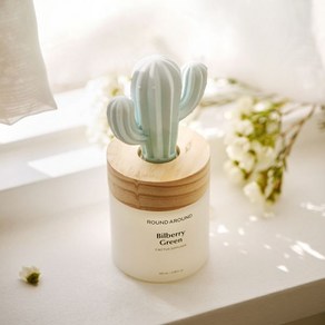 라운드어라운드 선인장 100ml 4종 택1, 피쉬본 선인장, 1개