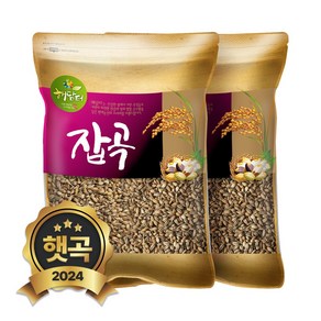 현대농산 국산 흑보리 10kg (5kgx2봉) 검정찰보리, 2개, 5kg