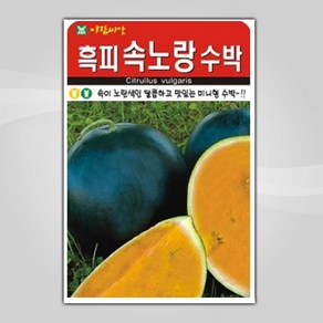 슬로시 열매 씨앗 종자 고추 가지 토마토 완두콩 녹두, 1개