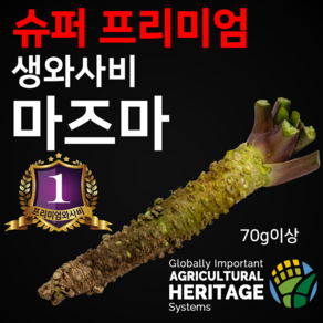 슈퍼 프리미엄 와사비의 원조 시즈오카 마즈마 생와사비 70g이상, 70g, 1개