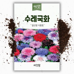 [모야모 꽃씨 0629] 두해살이꽃 5선 씨앗묶음