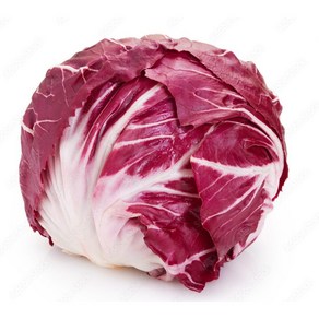 [국내산] 아삭아삭 싱싱한 라디치오 이탈리안 치커리, 3개, 300g