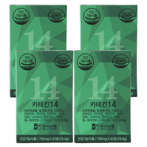 한미양행 카테킨14, 2세트, 84정