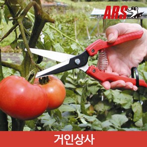 아루스 채과가위 SE-65/ 적과가위 열매가위 수확용 채소 과일 따기 일제 아로스 ARS, 1개