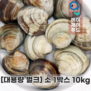 살아있는 활 백상합 10kg 소 (대용량 백생합 중국 냉장조개 생물조개 살아있는 조개 활조개 조개구이 조개찜 백합조개 업장용 도매용), 1박스