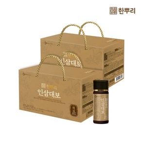 CJ제일제당 한뿌리 인삼대보 10병/2BOX, 100ml, 20개, 2개