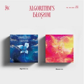 큐더블유이알 (QWER) - 미니앨범 2집 : Algorithm's Blossom [2종 SET]