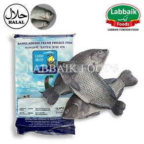 MIRAE Fozen Tilapia Fish 500g 탈라피아 생선 (물고기), 1개