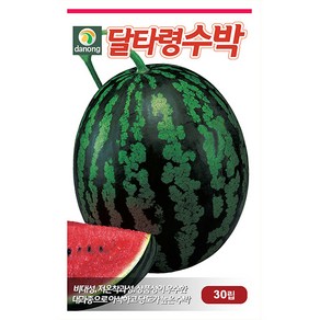 달타령 수박 씨앗 30립 - 수박씨 꿀수박 야채씨앗 채소씨앗 채소재배 종묘 종자 베란다 텃밭 씨 씨앗 오이 호박 방울토마토 참외 멜론, 1개