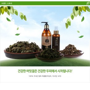 홈로즈 어성초 헤어팩 스프레이, 500ml, 1개