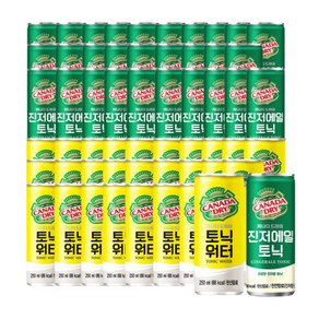 캐나다드라이 진저에일&토닉워터 250ml, 60개