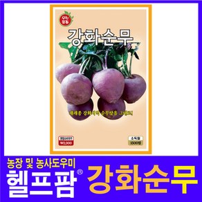 자체브랜드 헬프팜 강화순무 1500립 무씨 씨앗 종자 KS종묘, 1개