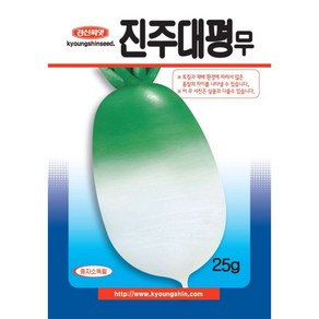 경신종묘 무씨앗 진주대평무 25g, 1개