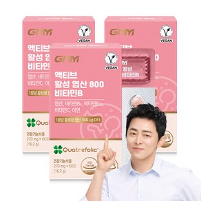 [1박스당 2개월분] GNM 액티브 활성 엽산 800 비타민B / 아연 비타민C 임산부, 60정, 3박스