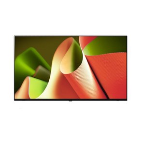 LG 올레드 TV 163cm OLED65B4FNA 벽걸이