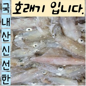 너무 신선한 국내산 호래기 꼴뚜기 자연산, 1개, 500g(20미내외)