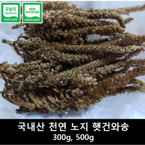 [송죽농장] 건와송 2024년산, 1개, 300g