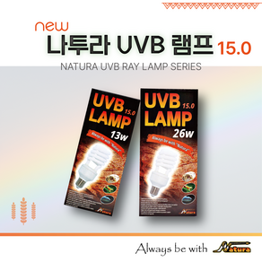 나투라 UVB 15.0 26w 파충류 일광욕 전구, 1개