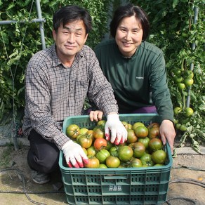 맛딜 부산대저 권영욱 생산자님 대저토마토 2.5kg, 2.5kg(M), 1개