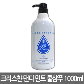 [라샘] 크리스챤 댄디 민트 쿨 샴푸 1000ml, 1L, 2개