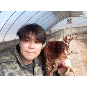 한국인의 밥상이 인정한 계룡산 토종닭 chicken 백숙재료(은행/밤/대추)무료 육수용 닭발(무료) 제공, 1개, 1.8kg