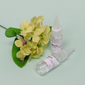 [카무] 자동차 방향제 디퓨저 프리미엄오일 리필액 10ml 20ml, 에끌라드아르페쥬, 1개