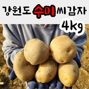 강원도 씨감자 수미 ( 야채 반찬용 ) 4kg 감자종자 감자씨앗, 수미씨감자 4kg, 1개