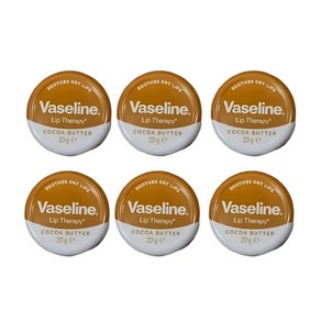 VASELINE 바세린 립밤 립 테라피, 코코아 버터, 20g, 6개