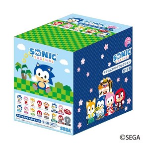 세가페이브SEGA Fave SONIC FRIENDS 아크릴 스탠드 어소트먼트 BOX 1BOX = 15개입 총 15종