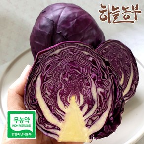 하늘농부 친환경 적양배추, 1봉, 600g 이상