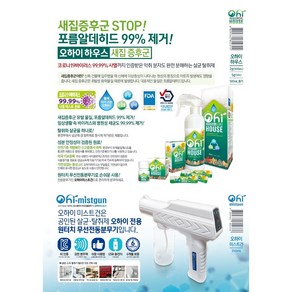 새집증후군 스프레이 냄새제거제, 500ml, 2개