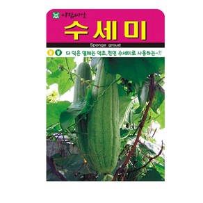 수세미 씨앗 씨 종자, 3개