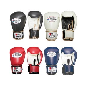 이사미 BOXER 복싱 글러브 10온즈 TBX-110, 블랙, 1개