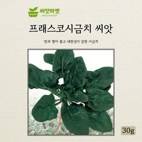 다농 프래스코시금치 씨앗 30g, 1개