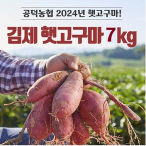 eTV 2024 농협 김제 햇 밤고구마(7kg*1박스)