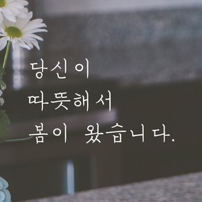 모노먼트 손글씨 감성 레터링 스티커 - 당신이 따뜻해서 봄이 왔습니다, S, 연핑크