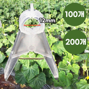 글로리존 고추 포도 집게 토마토 작물 호박 오이 고정 클립, 12mm, 200개