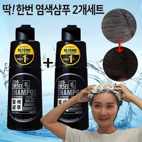 [TODAYITEM] 딱한번 염색샴푸 1+1 지디에스 블랙모 흰머리 새치 커버 염색 기능성 샴푸, 1개, 500ml