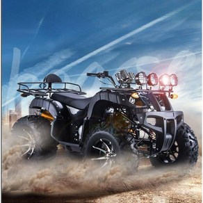 대형 atv 250cc 사륜 오토바이 사발이 4륜 바이크, 자동 익스트림