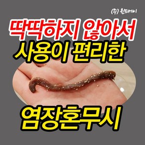 염장 혼무시 쫀쫀혼무시 소포장 국산 참갯지렁이 바다낚시 미끼, 쫀쫀혼무시 대용량 (생물120g염장) 용기포장, 1개