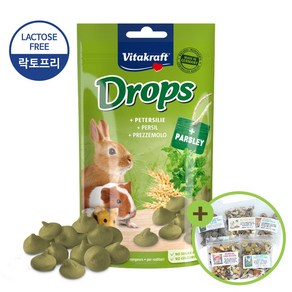 비타크래프트 비트 드롭스 75g/햄스터/토끼/간식, 1개, 75g