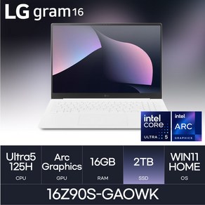 LG전자 그램16 16Z90S-GAOWK, WIN11 Home, 16GB, 2TB, White